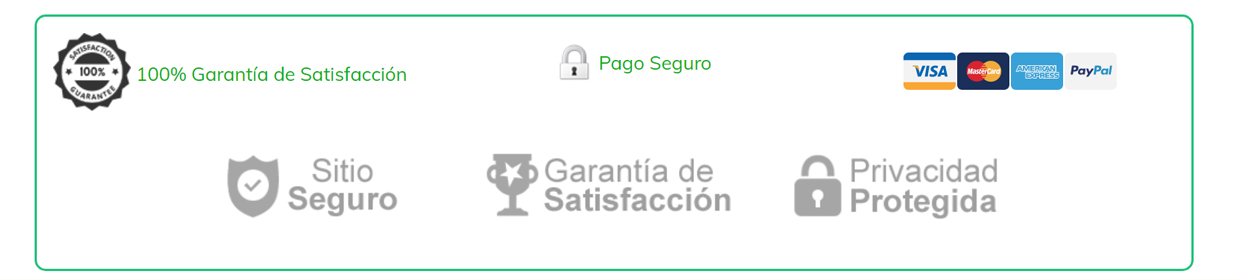 pago-seguro